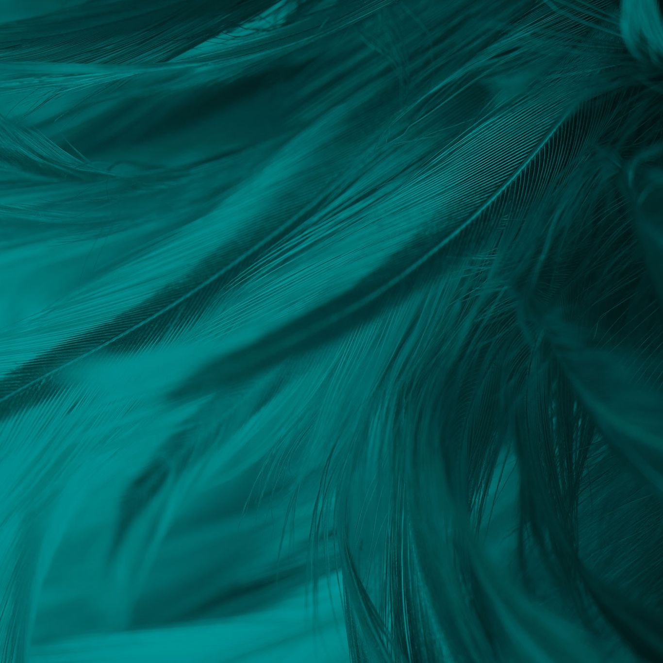 Abstract image of a soft landscape.